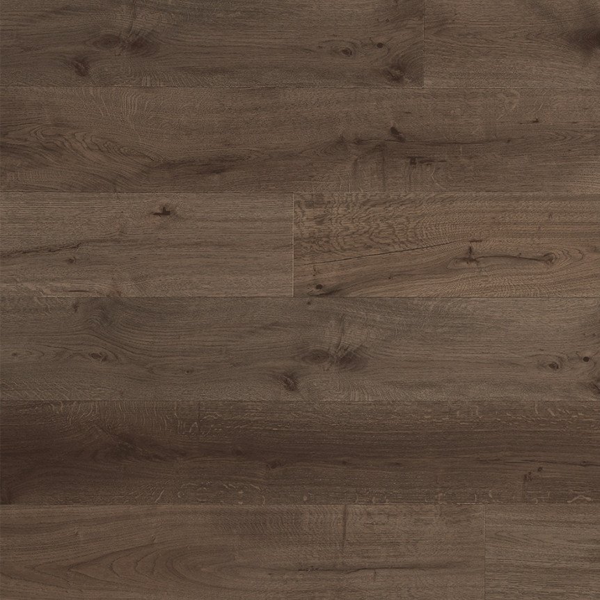 Wenge Profund